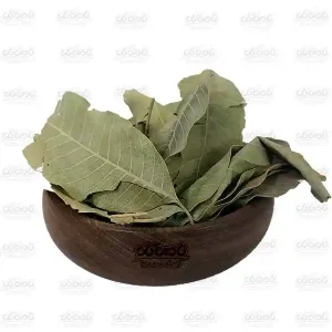 برگ انبه سبز