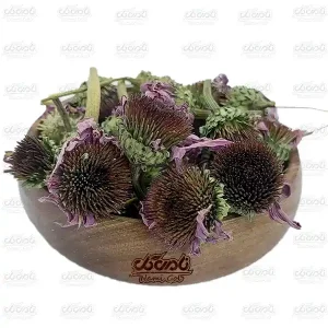 سرخارگل سرگل (اکیناسه)