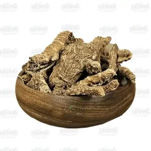 درونج مغربی