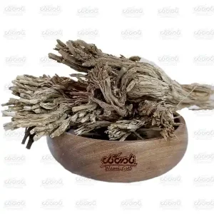 ریشه بابا آدم