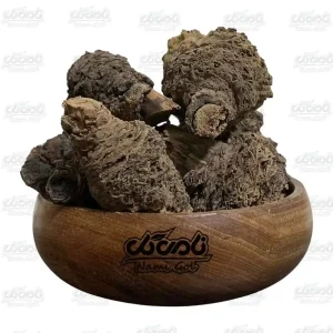 کندوش ترکیه ای