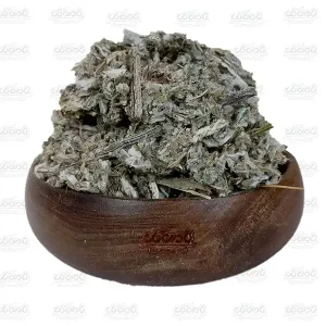 کنگر فرنگی (آرتیشو)