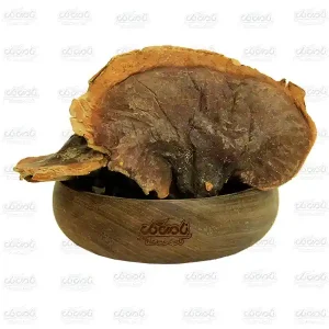 قارچ گانودرما قهوه ای