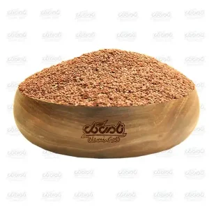 قدومه شهری پسر