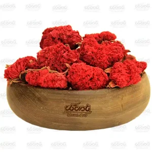 گلنار فارسی