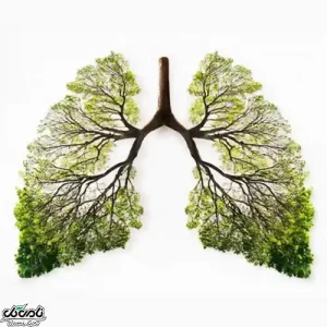 پاکسازی ریه با گیاهان دارویی ممکن است؟